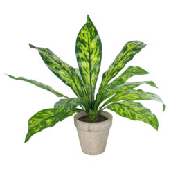Alternative view of GloboStar® Artificial Garden  SPATHIPHYLLUM POTTED PLANT 20905 Διακοσμητικό Φυτό Σπαθίφυλλο Φ40 x Υ33cm