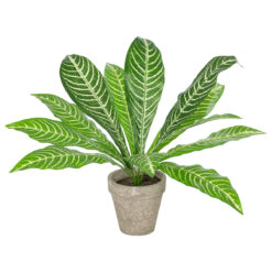 Alternative view of GloboStar® Artificial Garden  ZEBRA POTTED PLANT 20906 Διακοσμητικό Φυτό Ζέμπρα Φ40 x Υ33cm