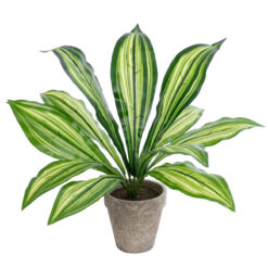 Alternative view of GloboStar® Artificial Garden  DRACAENA POTTED PLANT 20907 Διακοσμητικό Φυτό Δράκενα Φ40 x Υ33cm