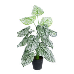Alternative view of GloboStar® Artificial Garden CALADIUM 20908 Διακοσμητικό Φυτό Καλάδια Υ75cm