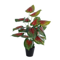 Alternative view of GloboStar® Artificial Garden CALADIUM MIX 20911 Διακοσμητικό Φυτό Καλάντιουμ Υ75cm