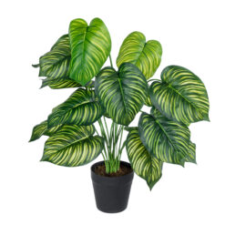 Alternative view of GloboStar® Artificial Garden CALATHEA PLANT 20912 Διακοσμητικό Φυτό Καλαθέα Φ55 x Υ75cm