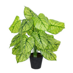 Alternative view of GloboStar® Artificial Garden CALADIUM PLANT 20913 Διακοσμητικό Φυτό Καλάντιουμ Φ55 x Υ75cm
