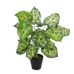 Alternative view of GloboStar® Artificial Garden DIEFFENBACHIA PLANT 20914 Διακοσμητικό Φυτό Διφενμπάχια Φ58 x Υ75cm