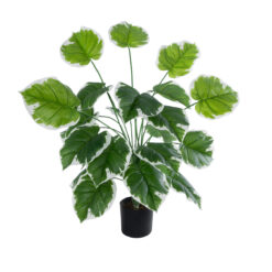 Alternative view of GloboStar® Artificial Garden WHITE HOSTA PLANT 20920 Διακοσμητικό Φυτό Λευκή Χόστα Φ87 x Υ80cm