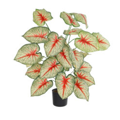 Alternative view of GloboStar® Artificial Garden CALADIUM PLANT 20921 Διακοσμητικό Φυτό Καλάντιουμ Φ75 x Υ80cm