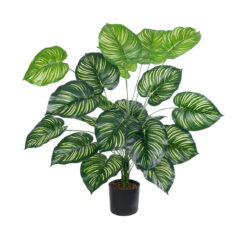 Alternative view of GloboStar® Artificial Garden CALATHEA PLANT 20922 Διακοσμητικό Φυτό Καλαθέα Φ70 x Υ80cm