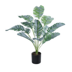 Alternative view of GloboStar® Artificial Garden BANANA PLANT ZEBRA 20930 - Διακοσμητικό Φυτό Μπανανιά Ζέβρα Φ70 x Υ55cm