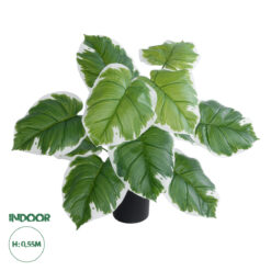 GloboStar® Artificial Garden WHITE HOSTA PLANT 20931 Διακοσμητικό Φυτό Λευκή Χόστα Φ60 x Υ55cm