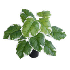 Alternative view of GloboStar® Artificial Garden WHITE HOSTA PLANT 20931 Διακοσμητικό Φυτό Λευκή  Χόστα Φ60 x Υ55cm