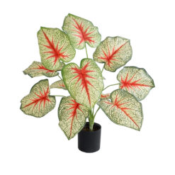Alternative view of GloboStar® Artificial Garden CALADIUM PLANT 20932 Διακοσμητικό Φυτό Καλάντιουμ Φ58 x Υ55cm