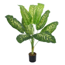 Alternative view of GloboStar® Artificial Garden CALATHEA PLANT 20940 Διακοσμητικό Φυτό Καλαθέα Φ80 x Υ90cm