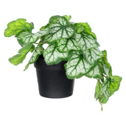 Alternative view of GloboStar® Artificial Garden WHITE BEGONIA PLANT 20947 Διακοσμητικό Φυτό Λευκή Βιγόνια Φ23 x Υ16cm