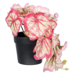 Alternative view of GloboStar® Artificial Garden RED BEGONIA PLANT 20948 Διακοσμητικό Φυτό Κόκκινη Βιγόνια Φ23 x Υ16cm
