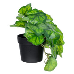 Alternative view of GloboStar® Artificial Garden GREEN BEGONIA PLANT 20949 Διακοσμητικό Φυτό Πράσινη Βιγόνια Φ23 x Υ16cm