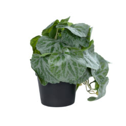 Alternative view of GloboStar® Artificial Garden STRAWBERRY PLANT 20950 Διακοσμητικό Φυτό Φραουλιά Φ23 x Υ16cm