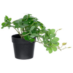 Alternative view of GloboStar® Artificial Garden SCHEFFLERA PLANT 20954 Διακοσμητικό Φυτό Σεφλέρα Φ18 x Υ17cm