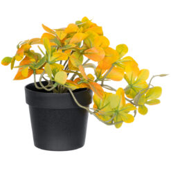 Alternative view of GloboStar® Artificial Garden SCHEFFLERA MIX PLANT 20955 Διακοσμητικό Φυτό Σεφλέρα Φ20 x Υ18cm