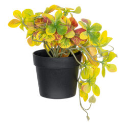 Alternative view of GloboStar® Artificial Garden SCHEFFLERA MIX PLANT 20956 Διακοσμητικό Φυτό Σεφλέρα Φ20 x Υ18cm