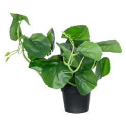 Alternative view of GloboStar® Artificial Garden BELL PLANT 20957 Διακοσμητικό Φυτό Σεφλέρα Φ47 x Υ22cm