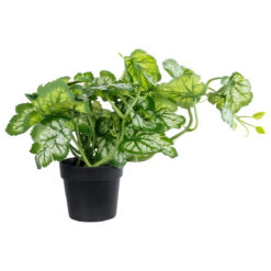 Alternative view of GloboStar® Artificial Garden BEGONIA PLANT 20958 Διακοσμητικό Φυτό Βιγόνια Φ47 x Υ22cm