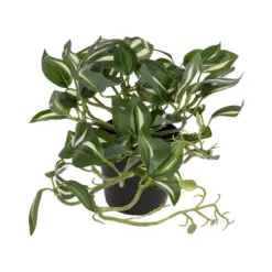 Alternative view of GloboStar® Artificial Garden ZEBRINA PLANT 20960 Διακοσμητικό Φυτό Ζεμπρίνα Φ45 x Υ22cm