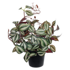 Alternative view of GloboStar® Artificial Garden ZEBRINA PLANT 20961 Διακοσμητικό Φυτό Ζεμπρίνα Φ45 x Υ22cm