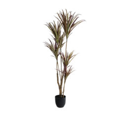 Alternative view of GloboStar® Artificial Garden DRAGON BLOOD TREE 20970 - Τεχνητό Διακοσμητικό Φυτό Δράκαινα Φ60 x Υ140cm