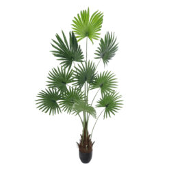 Alternative view of GloboStar® Artificial Garden SERENOA PALM PLANT 20972 Διακοσμητικό Φυτό Φοίνικα Σερενόα Φ103 x Υ180cm