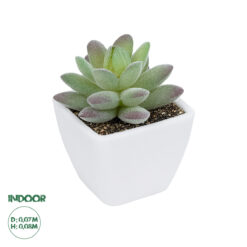 GloboStar® Artificial Garden SUCCULENT SEDEVERIA POTTED PLANT 20975 Διακοσμητικό Φυτό Φοίνικα Σερενόα Φ7 x Υ8cm