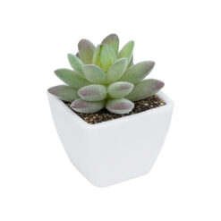 Alternative view of GloboStar® Artificial Garden  SUCCULENT SEDEVERIA POTTED PLANT 20975 Διακοσμητικό Φυτό Φοίνικα Σερενόα Φ7 x Υ8cm