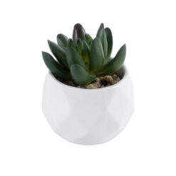 Alternative view of GloboStar® Artificial Garden SUCCULENT CRASSULA 20979 Διακοσμητικό Φυτό Παχύφυτο Κράσουλα Υ9cm