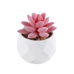 Alternative view of GloboStar® Artificial Garden SUCCULENT SEDEVERIA 20981 Διακοσμητικό Φυτό Παχύφυτο Σεντεβέρια Υ8cm