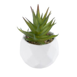 Alternative view of GloboStar® Artificial Garden SUCCULENT ALOE 20982 Διακοσμητικό Φυτό Παχύφυτο Αλόη Υ11cm