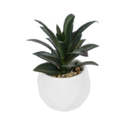 Alternative view of GloboStar® Artificial Garden SUCCULENT ALOE POTTED PLANT 20983 Διακοσμητικό Φυτό Αλόης Φ9 x Υ12cm