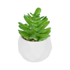 Alternative view of GloboStar® Artificial Garden SUCCULENT CRASSULA POTTED PLANT 20986 Διακοσμητικό Φυτό Κρασούλα Φ6 x Υ10cm