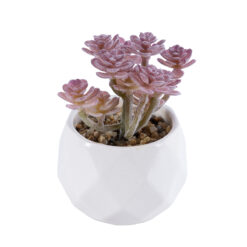 Alternative view of GloboStar® Artificial Garden SUCCULENT SEDUM 20988 Διακοσμητικό Φυτό Παχύφυτο Σέδο Υ10cm