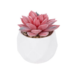 Alternative view of GloboStar® Artificial Garden SUCCULENT SEDEVERIA POTTED PLANT 20989 Διακοσμητικό Φυτό Σεδεβέρια Φ6,5 x Υ8cm