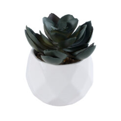 Alternative view of GloboStar® Artificial Garden SUCCULENT ECHEVERIA 20990 Διακοσμητικό Φυτό Παχύφυτο Εχεβέρια Υ8.5cm