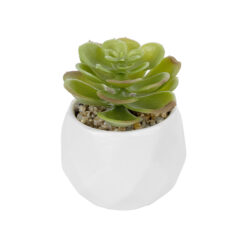 Alternative view of GloboStar® Artificial Garden SUCCULENT ECHEVERIA POTTED PLANT 20991 Διακοσμητικό Φυτό Εχεβέρια Φ6 x Υ8,5cm