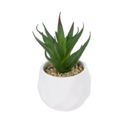 Alternative view of GloboStar® Artificial Garden SUCCULENT ALOE POTTED PLANT 20993 Διακοσμητικό Φυτό Αλόη Φ8 x Υ12cm