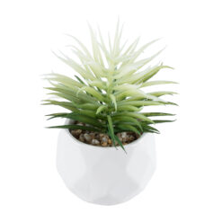 Alternative view of GloboStar® Artificial Garden SUCCULENT SENECIO 20997 Διακοσμητικό Φυτό Παχύφυτο Σενέκιο Υ12cm