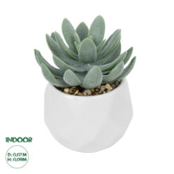 GloboStar® Artificial Garden SUCCULENT SEDEVERIA POTTED PLANT 20998 Διακοσμητικό Φυτό Σεδεβέρια Φ7 x Υ9cm