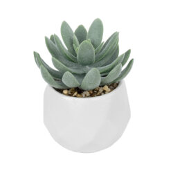 Alternative view of GloboStar® Artificial Garden SUCCULENT SEDEVERIA POTTED PLANT 20998 Διακοσμητικό Φυτό Σεδεβέρια  Φ7 x Υ9cm