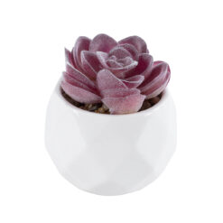 Alternative view of GloboStar® Artificial Garden SUCCULENT ECHEVERIA 21000 Διακοσμητικό Φυτό Παχύφυτο Εχεβέρια Υ7.5cm