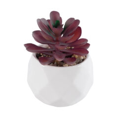 Alternative view of GloboStar® Artificial Garden SUCCULENT CRASSULA 21004 Διακοσμητικό Φυτό Παχύφυτο Κράσουλα Υ9.5cm