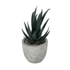 Alternative view of GloboStar® Artificial Garden SUCCULENT ALOE POTTED PLANT 21007 Διακοσμητικό Φυτό Αλόη  Φ7 x Υ14cm
