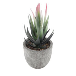 Alternative view of GloboStar® Artificial Garden SUCCULENT ALOE 21008 Διακοσμητικό Φυτό Παχύφυτο Αλόη Υ14cm