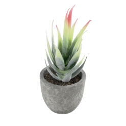 Alternative view of GloboStar® Artificial Garden SUCCULENT ALOE 21009 Διακοσμητικό Φυτό Παχύφυτο Αλόη Υ14cm