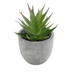 Alternative view of GloboStar® Artificial Garden SUCCULENT ALOE 21010 Διακοσμητικό Φυτό Παχύφυτο Αλόη Υ11cm